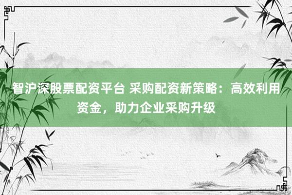 智沪深股票配资平台 采购配资新策略：高效利用资金，助力企业采购升级
