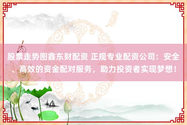 股票走势图鑫东财配资 正规专业配资公司：安全、高效的资金配对服务，助力投资者实现梦想！
