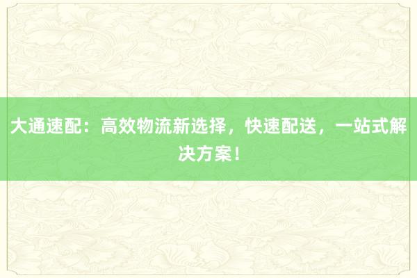 大通速配：高效物流新选择，快速配送，一站式解决方案！
