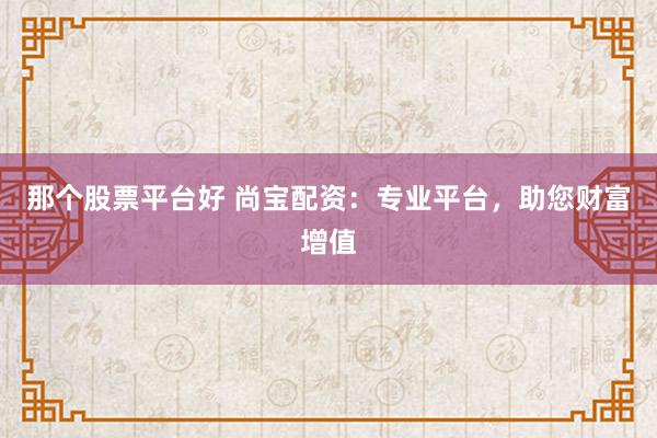 那个股票平台好 尚宝配资：专业平台，助您财富增值