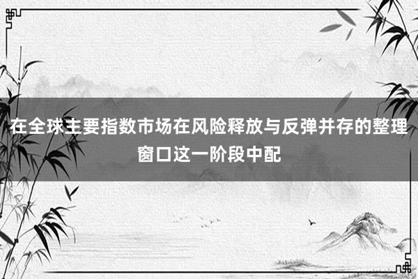 在全球主要指数市场在风险释放与反弹并存的整理窗口这一阶段中配