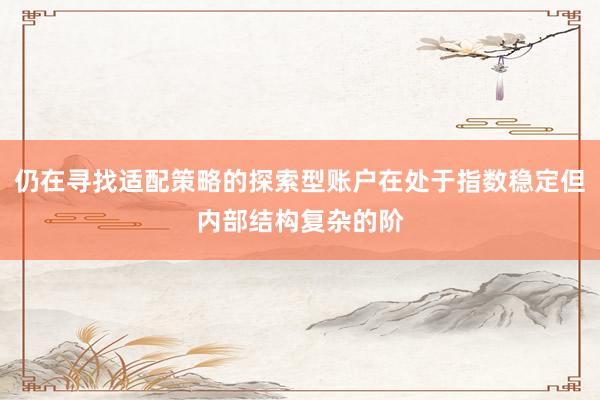 仍在寻找适配策略的探索型账户在处于指数稳定但内部结构复杂的阶