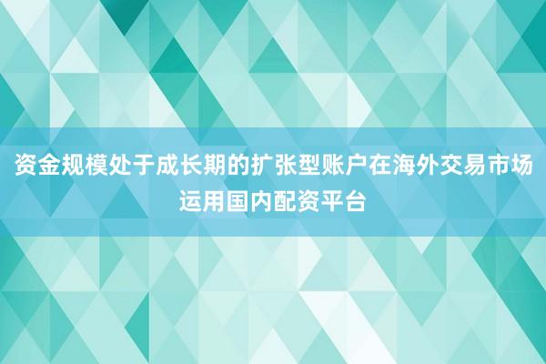 资金规模处于成长期的扩张型账户在海外交易市场运用国内配资平台