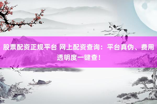 股票配资正规平台 网上配资查询：平台真伪、费用透明度一键查！